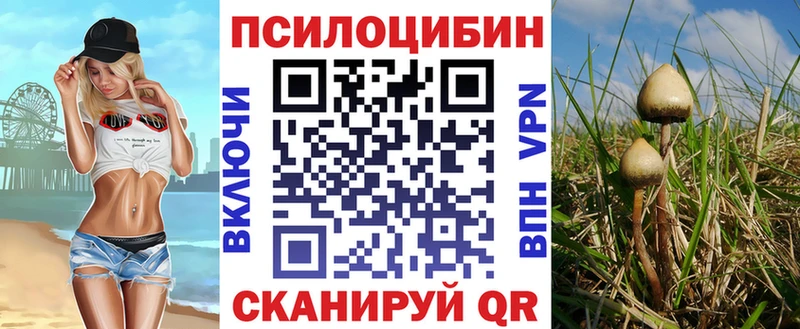 Псилоцибиновые грибы мухоморы  Ижевск 