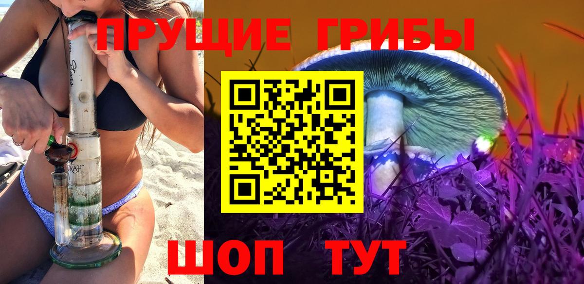 Ижевск  Псилоцибиновые грибы Magic Shrooms  Вход с VPN 