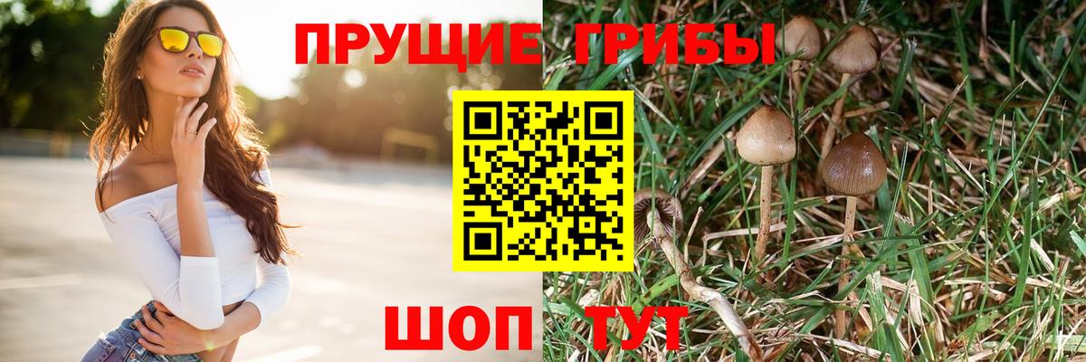 Псилоцибиновые грибы прущие грибы Ижевск